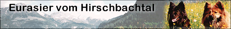 illustrierte Informationen rund um den Zwinger vom Hirschbachtal incl. Ahnennachweis, Nachkommen, Bildergalerie, G&auml;stebuch, Linkliste usw.